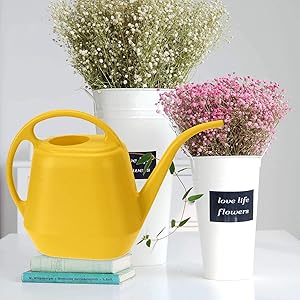 Watering Can