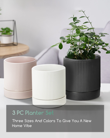 ceramic planters for indoor plants