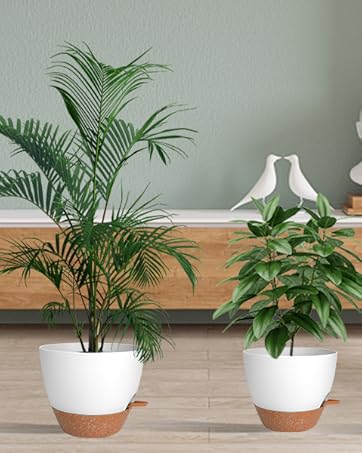 indoor plant pots