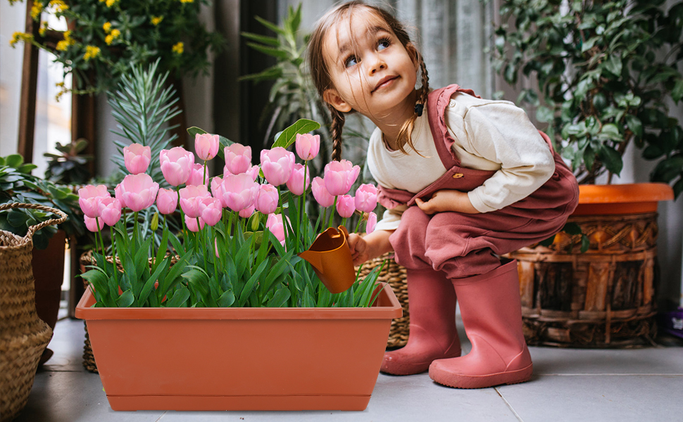  Window Box Planter