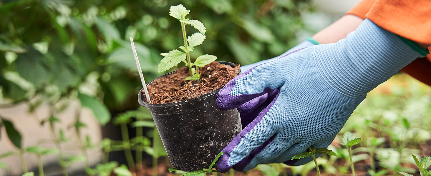 plant nursery pots