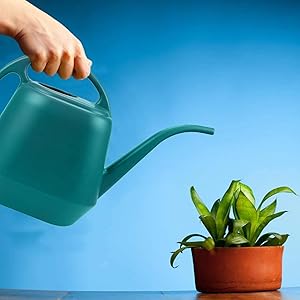 Watering Can