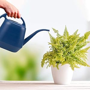 Watering Can