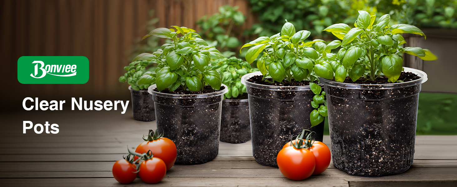 Clear plant nursery pots