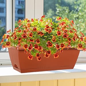  Window Box Planter