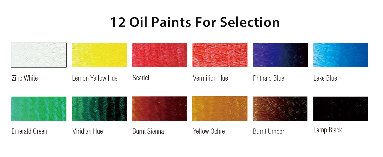 12 Oil Paint Swatch