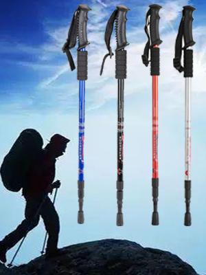 hiking poles