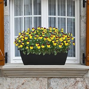  Window Box Planter