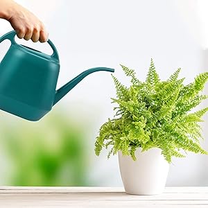 Watering Can