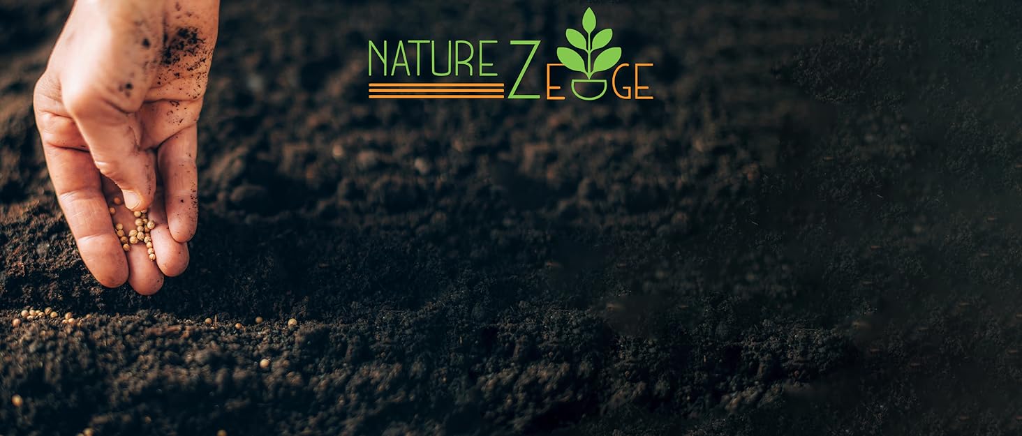 NatureZ Edge Background