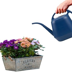 Watering Can