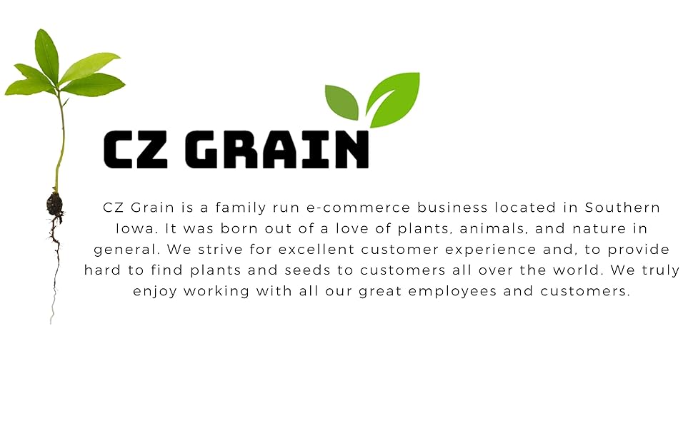 CZ Grain logo, About CZ Grain