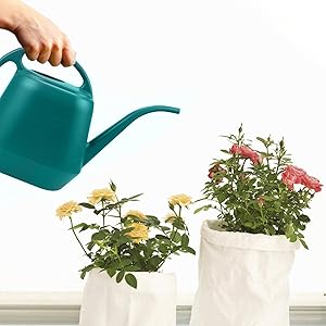 Watering Can