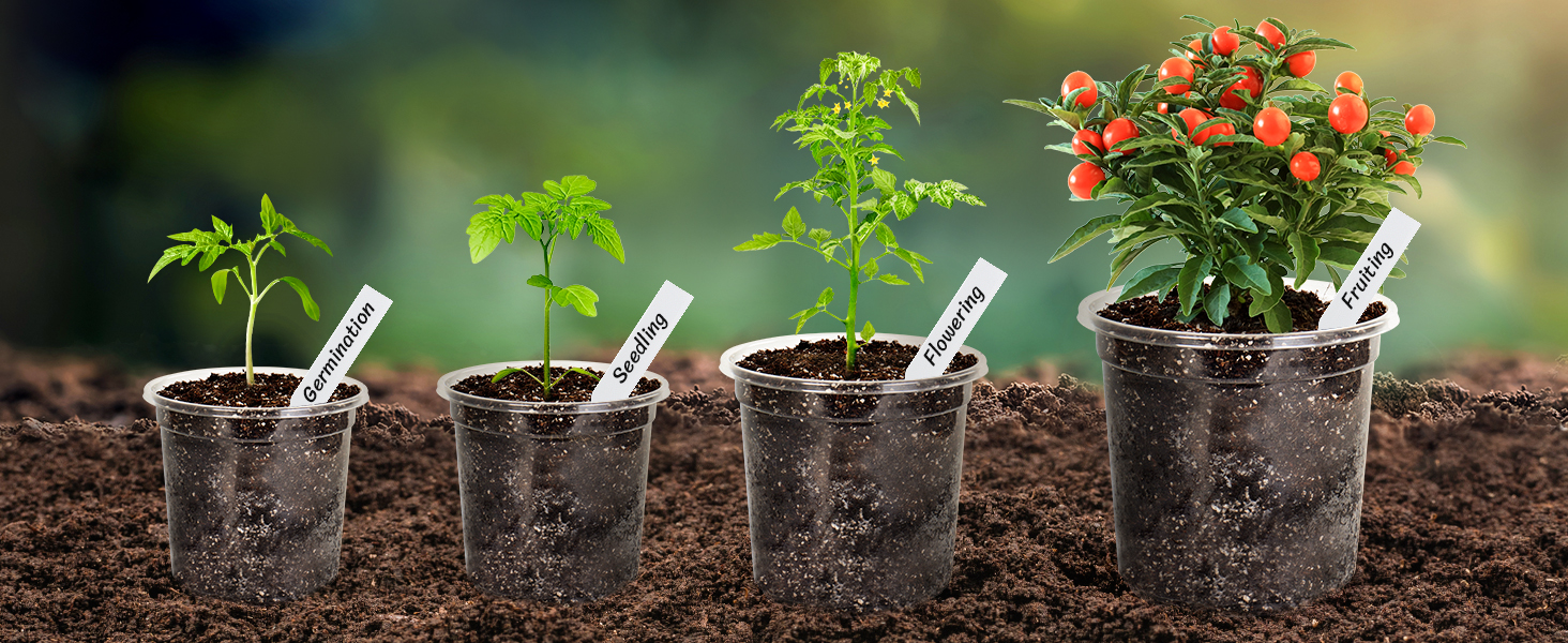 Clear plant nursery pots