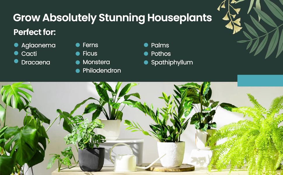 Houseplant Food, All Purpose Indoor Plant Food, Indoor Plant Fertilizer