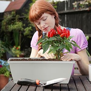  Window Box Planter