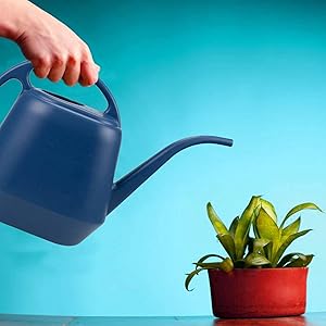 Watering Can