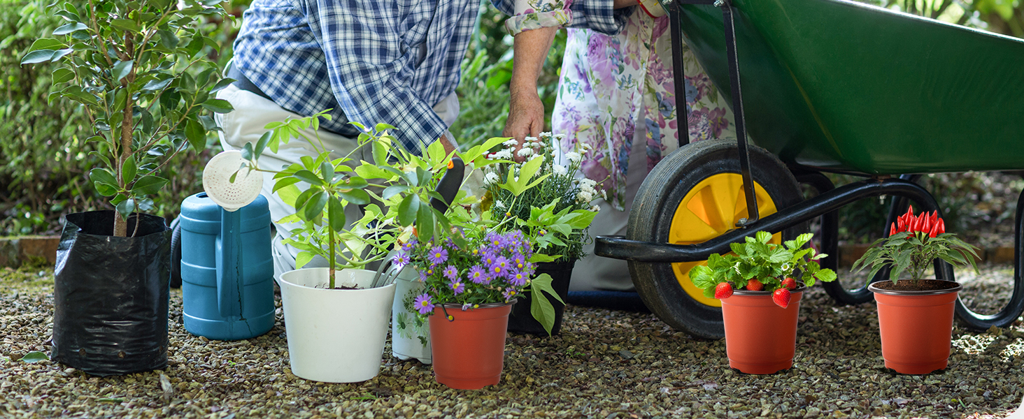  pots for plants