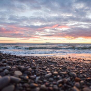 beach-677553_960_720.jpg