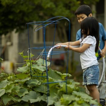 children-7338082_960_720.jpg