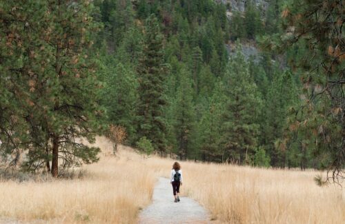 hiking-7890733_960_720.jpg