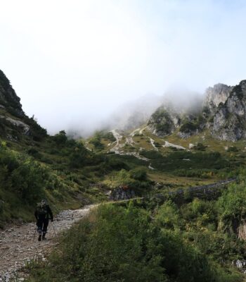 mountains-4521455_960_720.jpg