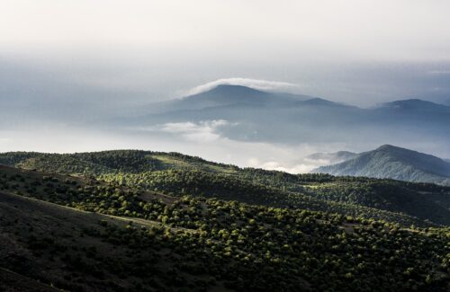 mountains-5531584_960_720.jpg