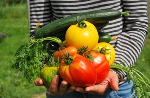 vegetables-742095_960_720.jpg